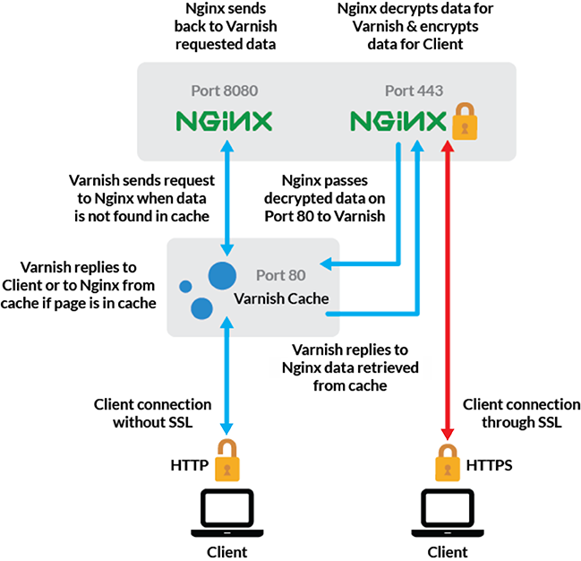 Nginx-Varnish-Nginx server configuration diagram Nginx-Varnish-Nginx server configuration diagram
